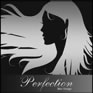 Perfection Hair Design